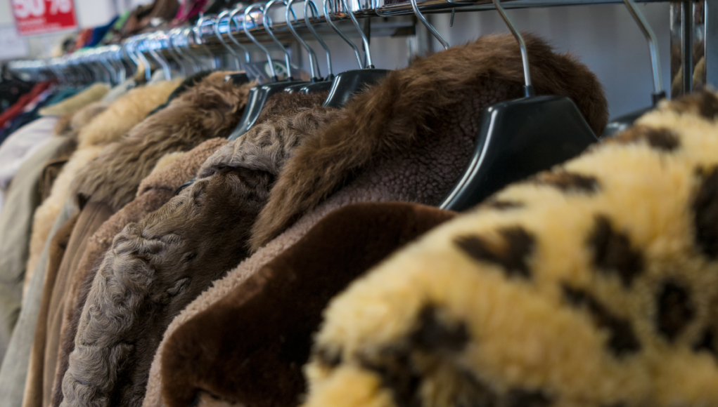 clothes rail (1)