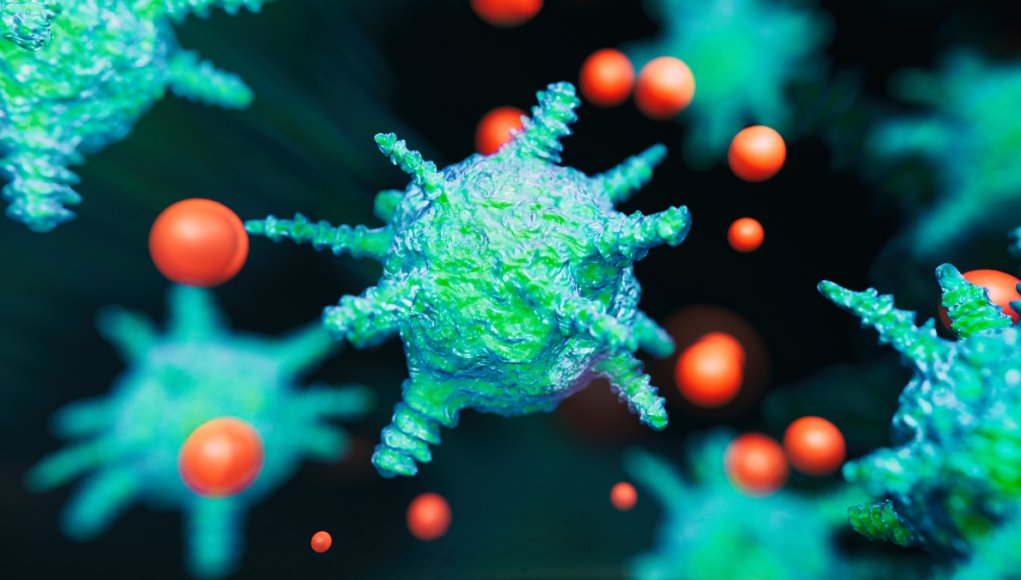 norovirus