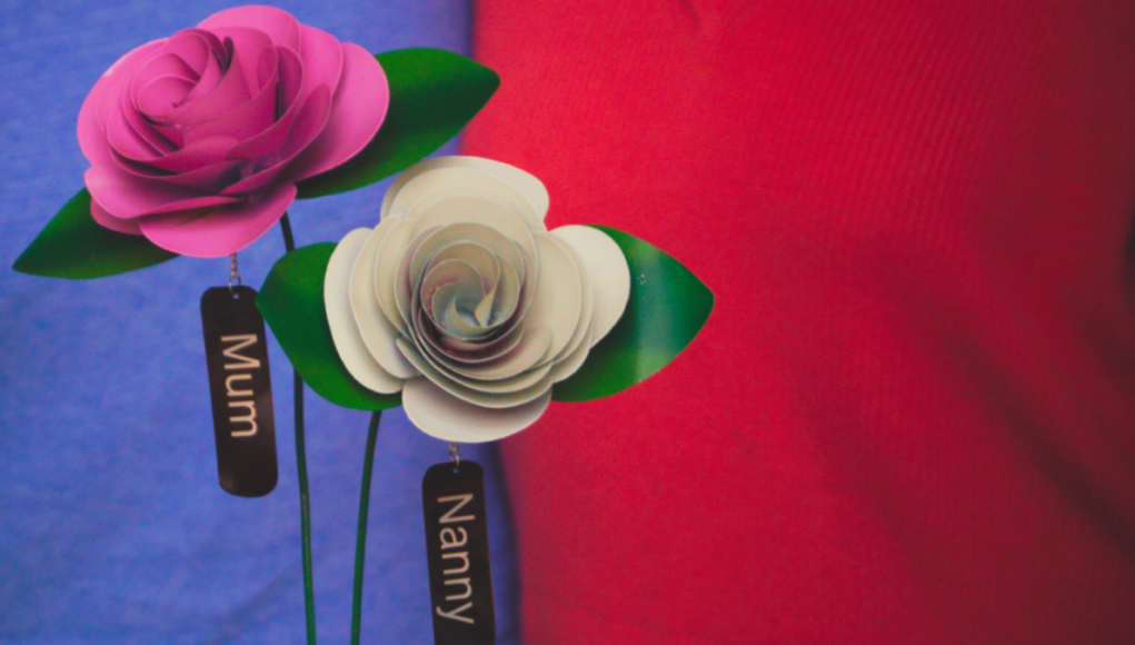 prospect roses