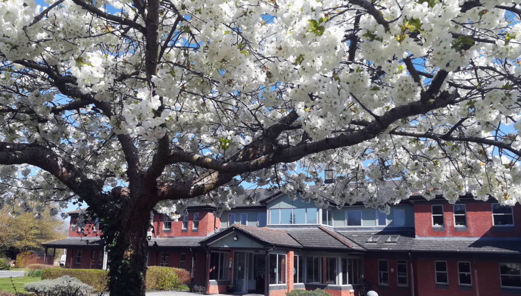 prospect hospice