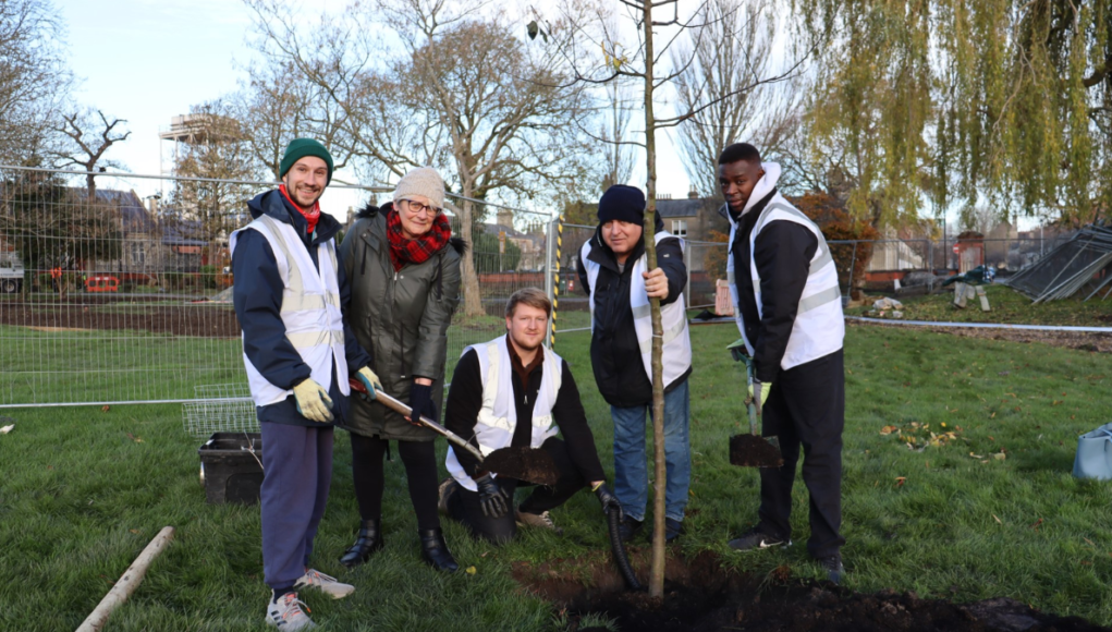 mechanics tree planting