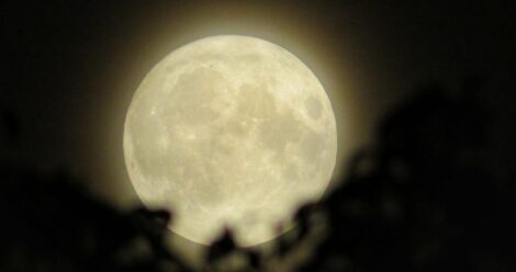 Clive Warr Moon
