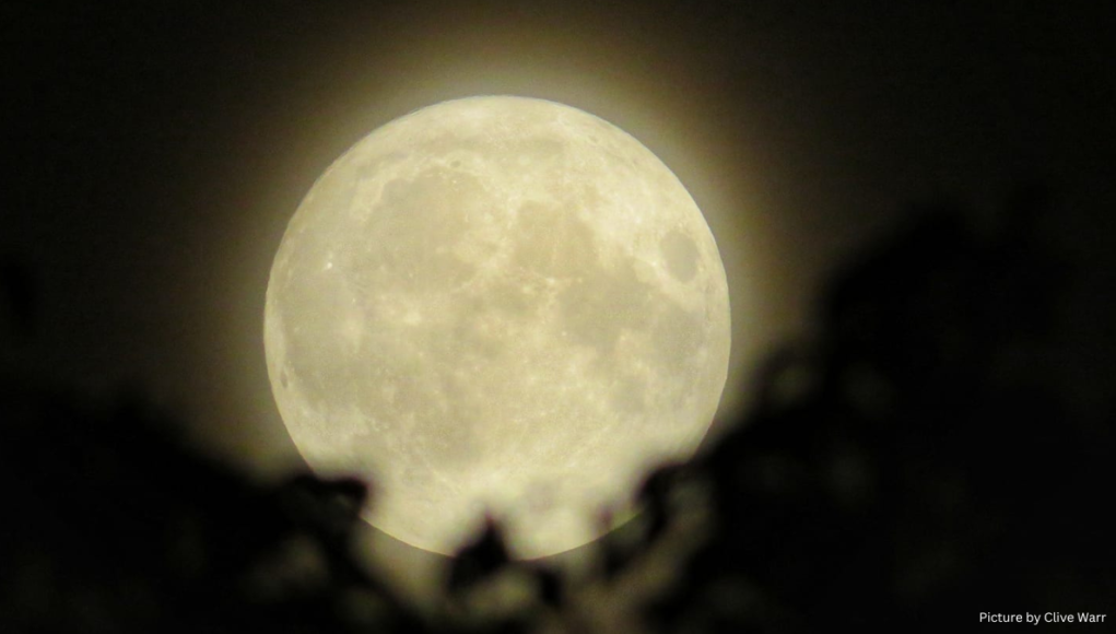 Clive Warr Moon Pic