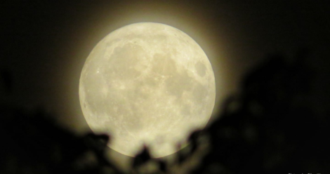 Clive Warr Moon Pic