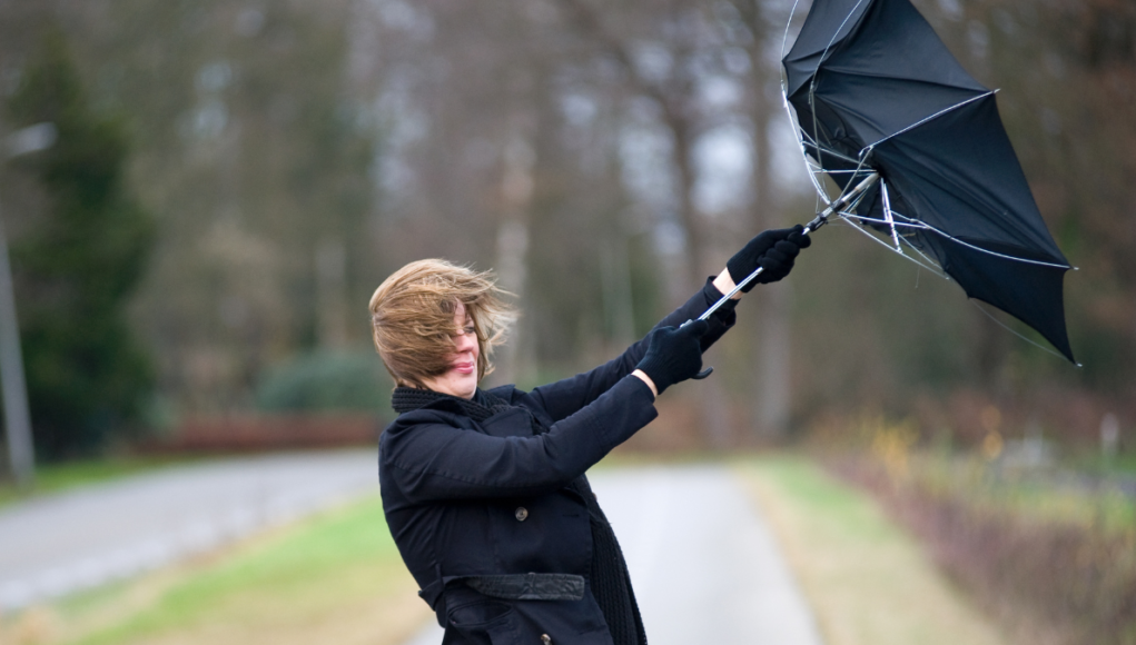 windy inside out umbrella