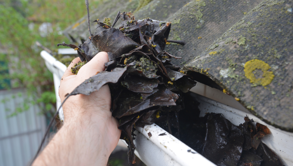clean guttering