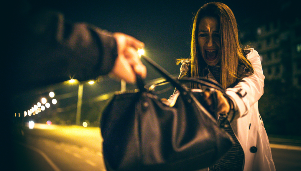 handbag robbery