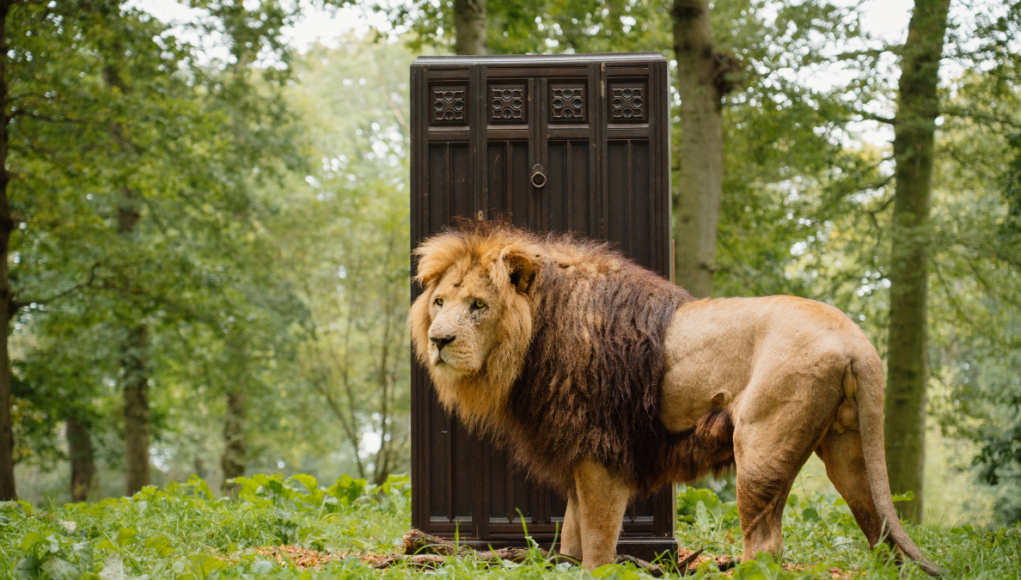 lion longleat
