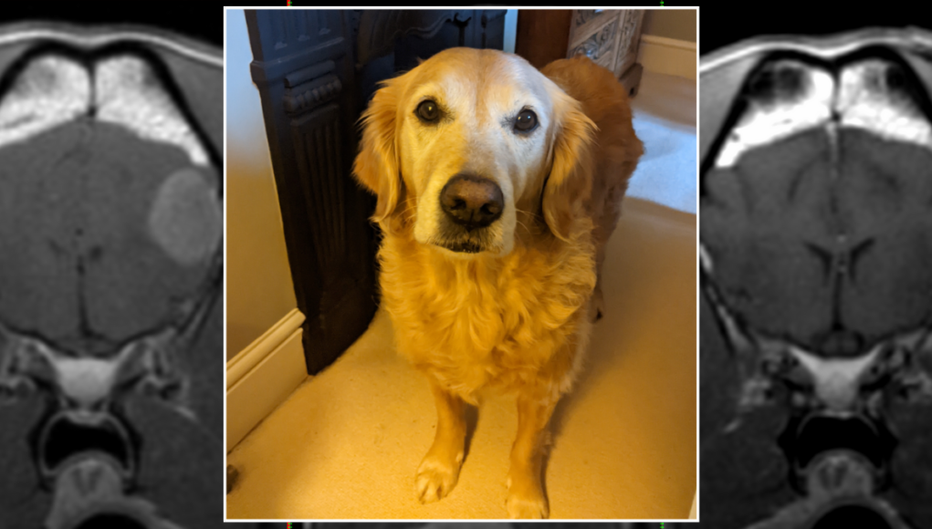 rosie tumour
