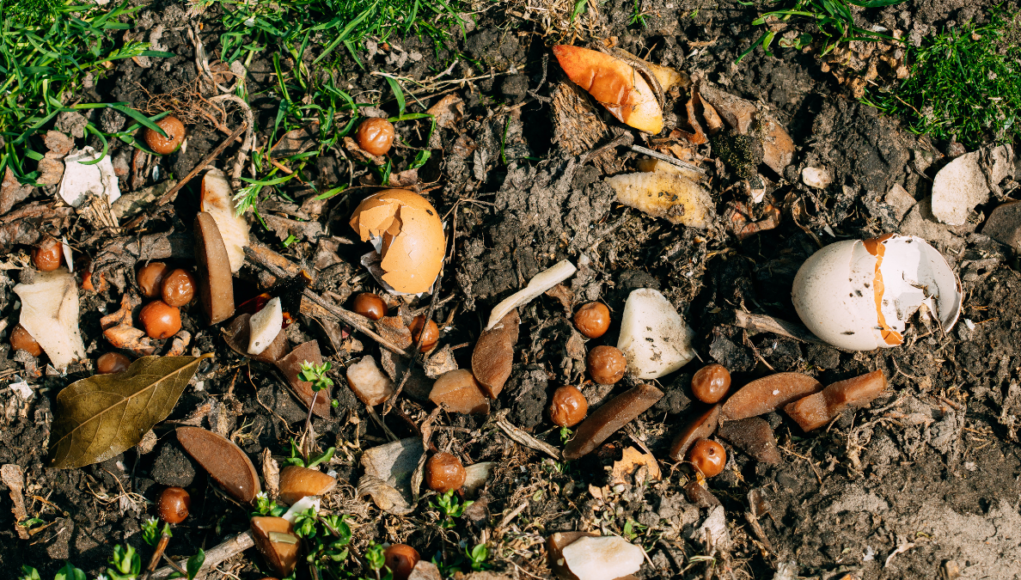 food waste
