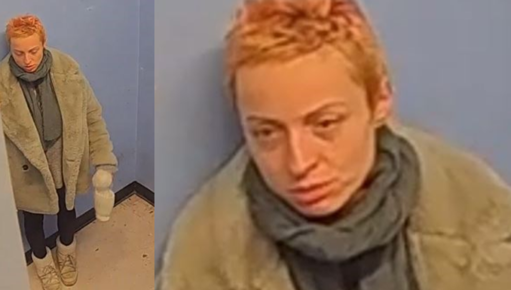 Anca Bulencea