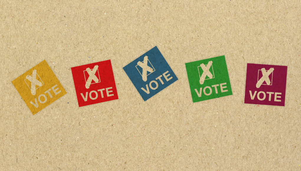 vote election c 080124