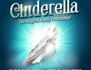 wyvern cinderella ad 320x