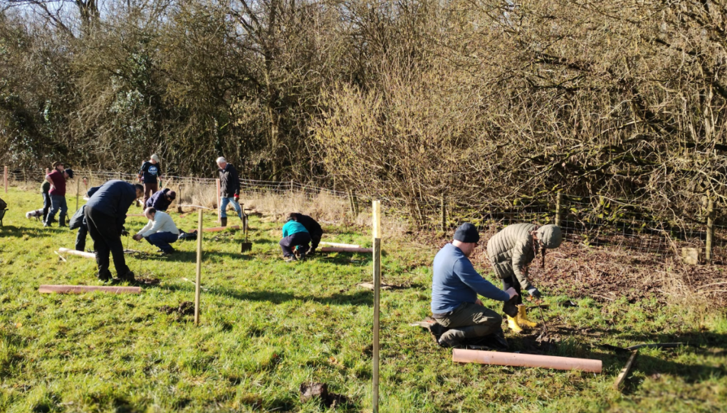 tree planting sbc