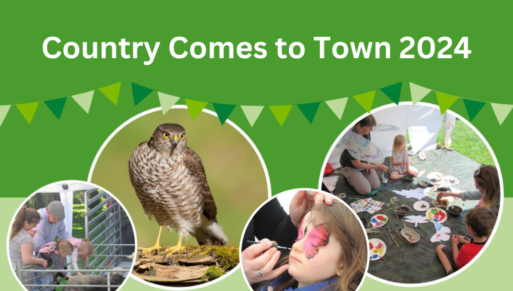 Country Comes to Town 2024