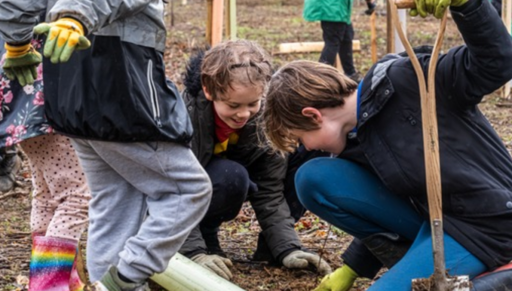 School children take part in big tree planting day at Westonbirt (1)