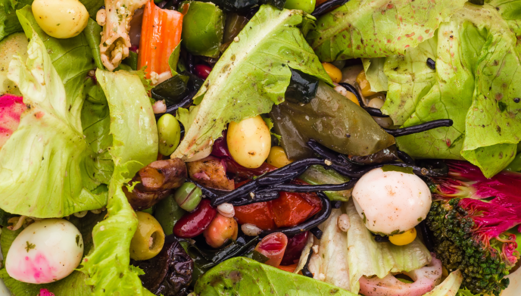 food recycling