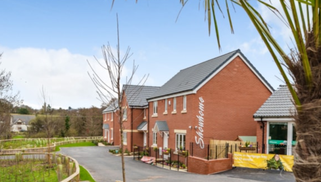 Persimmon show home