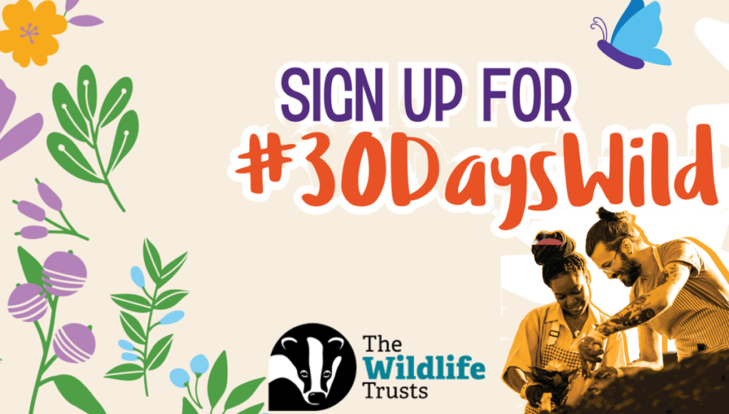 30 days wild