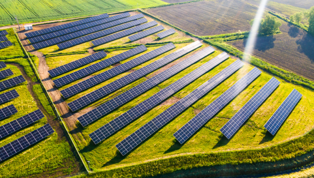 solar farm