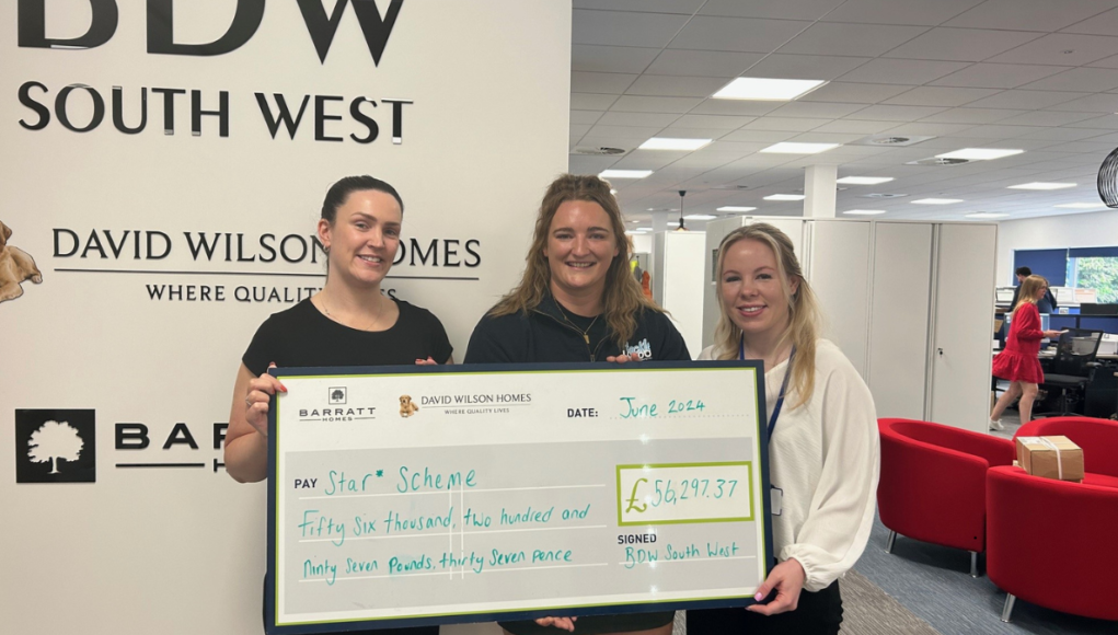 star scheme cheque