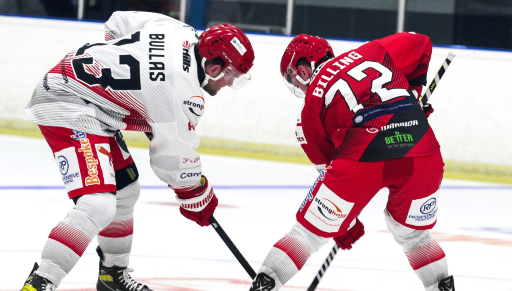 swindon wildcats