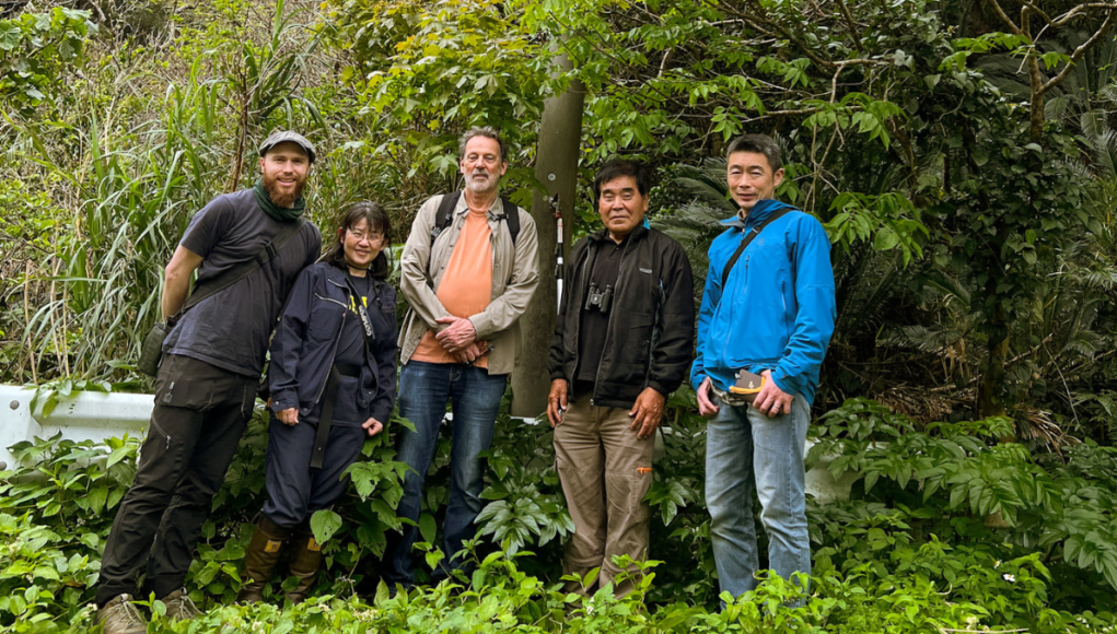SWINDONIAN PIC anami maple tree survey
