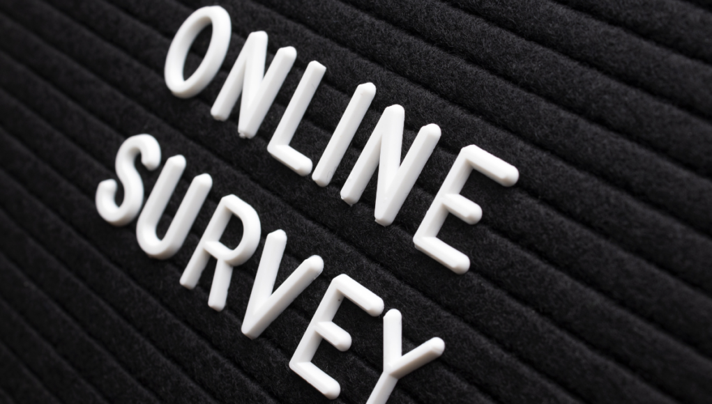 online survey