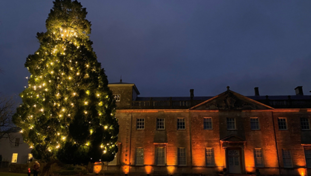 lydiard house christmas tree - sbc press release 081124