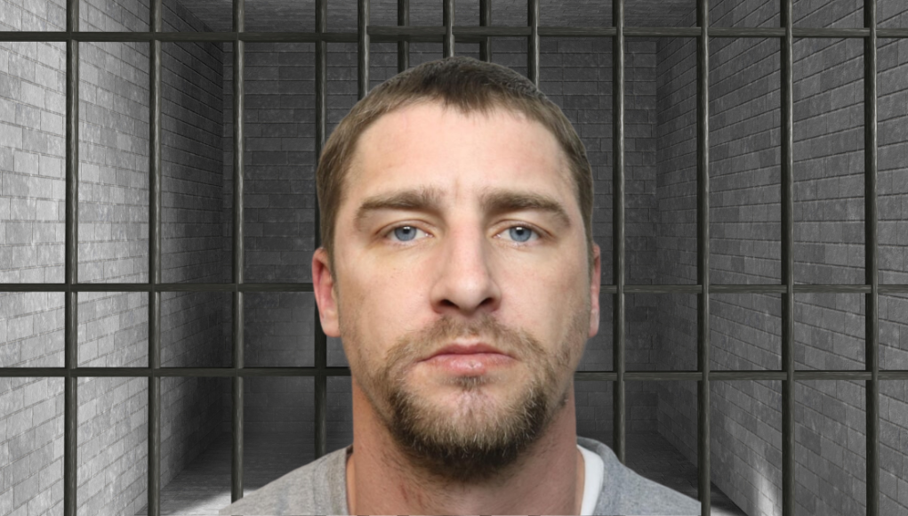 mathew brown wilts police