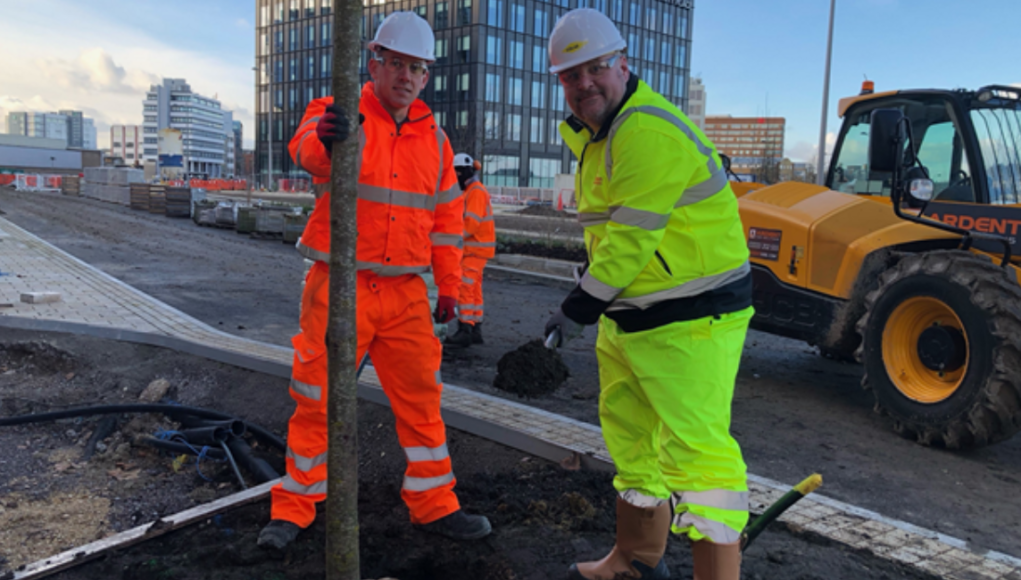SWINDONIAN jim robbins planting tree