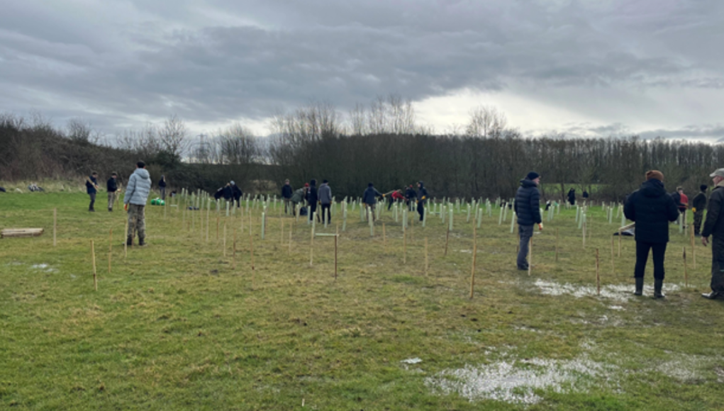 SWINDONIAN sbc tree planting