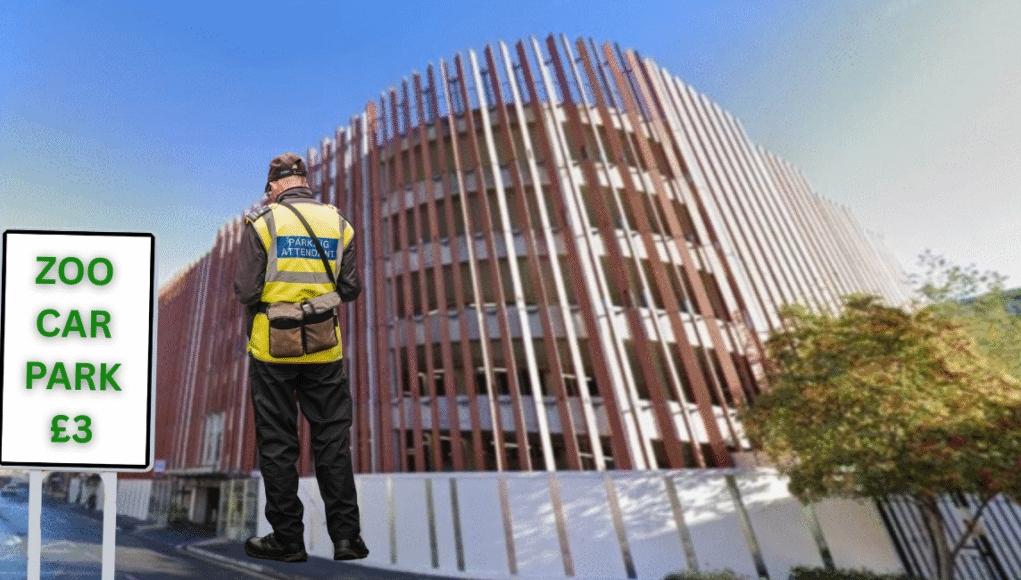Swindonian whalebridge parking attendant (1)