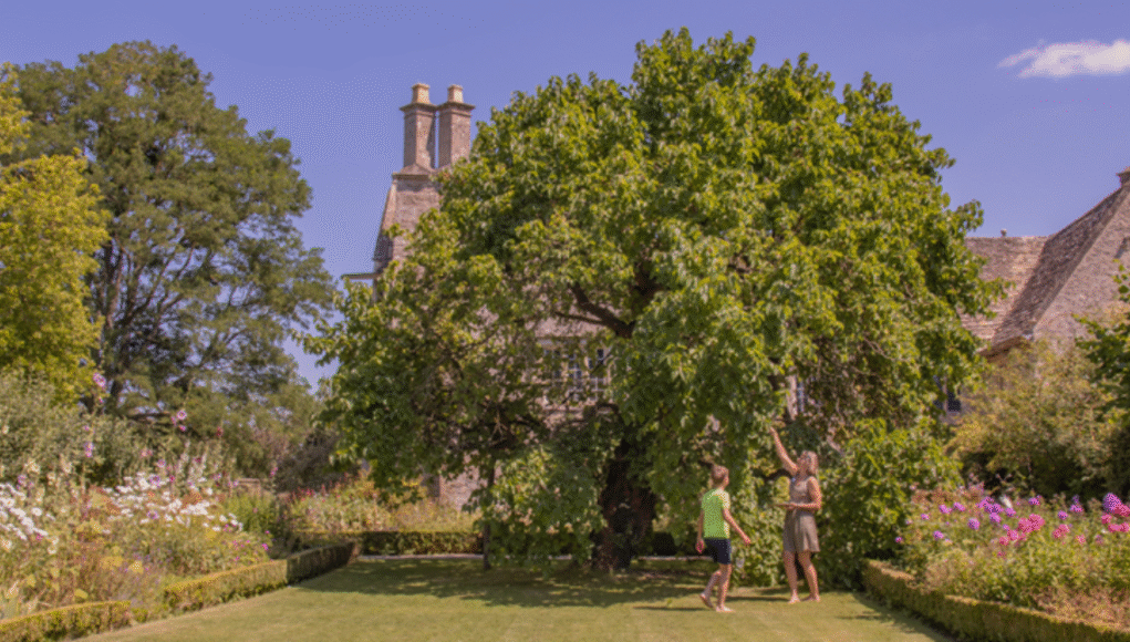 kelmscott