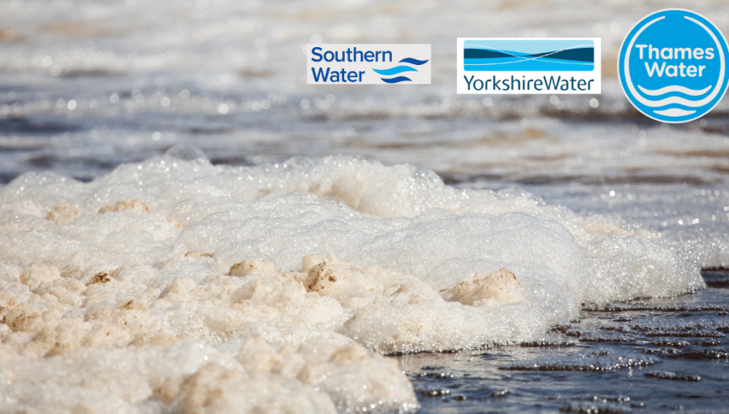 water pollution (1)