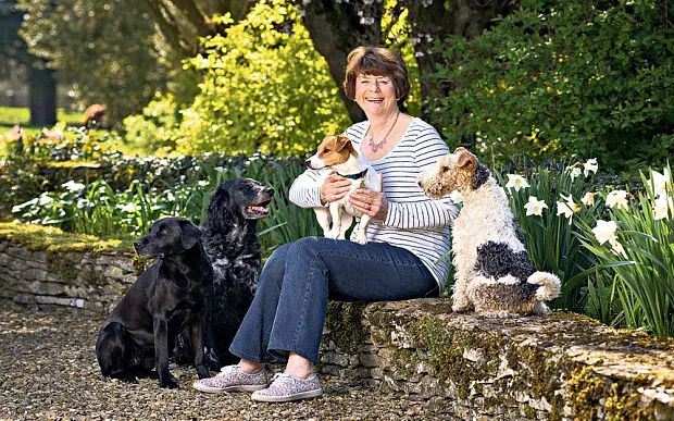 pam ayres