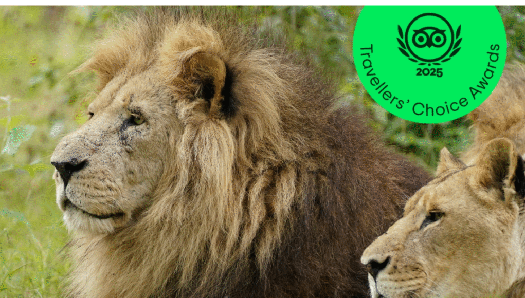 longleat
