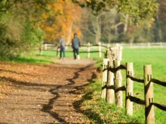 Swindon Nature Trail Ranked Among UK’s Best Accessible Walks