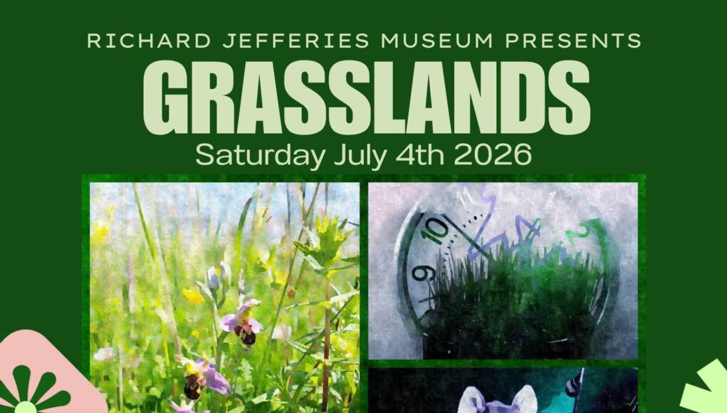 grasslands