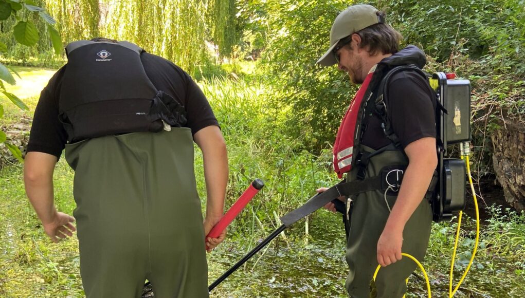 Environment Agency officers catch and move fish in the River Tarrant, near Tarrant Monkton, Dorset, which had become trapped in pools of water.