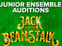 Young Swindon performers invited to audition for Wyvern Theatre Christmas panto