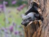 Avebury Manor Garden to become an outdoor gallery for sculpture exhibition