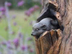 Avebury Manor Garden to become an outdoor gallery for sculpture exhibition