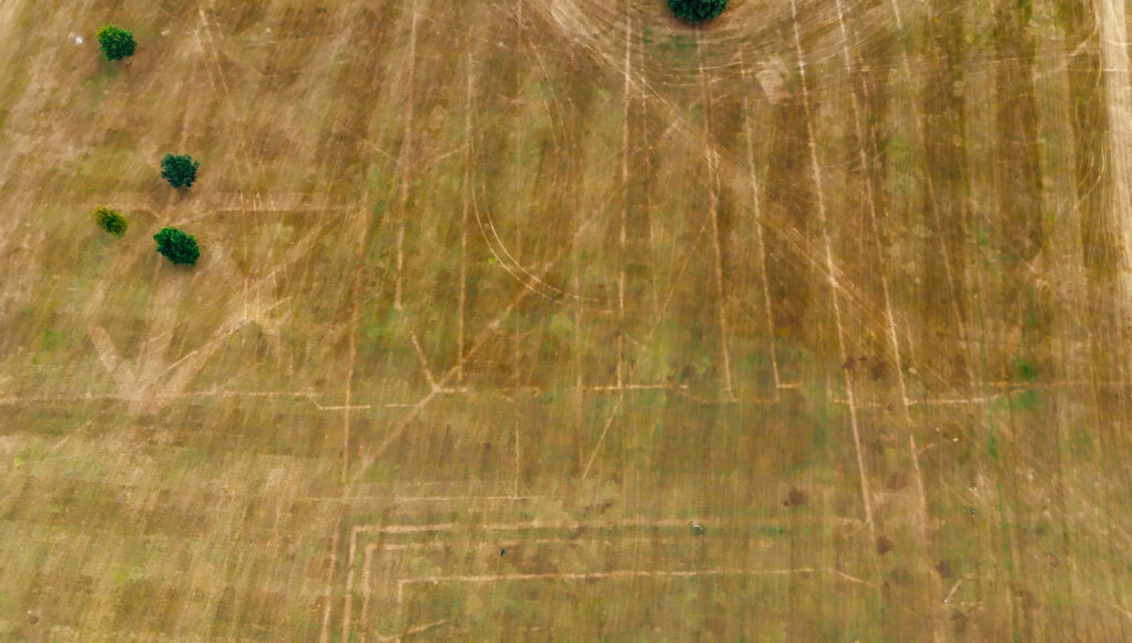 Crisscross Parterre - bottom left - TomAnders_HouseParchMarks_8_2026-5