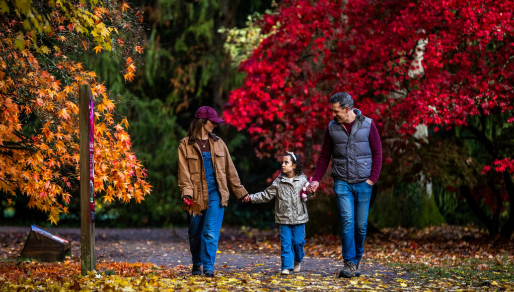 Johnny Hathaway_Autumn_2025 (48)