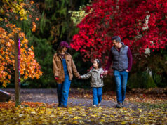 Westonbirt prepares for a spectacular autumn of colour