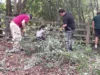 Volunteers give Swindon’s rare newts a helping hand