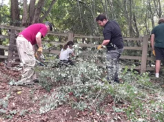 Volunteers give Swindon’s rare newts a helping hand
