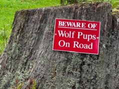 ‘Wolf pups on road’ warning sign appears at Longleat Safari