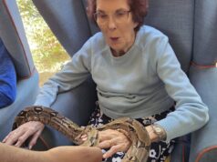 Snakes alive as unusual visitors arrive at Wroughton care home